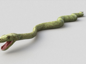 3d green boa model Modelo 3D