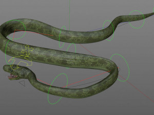 3d green boa model Modelo 3D