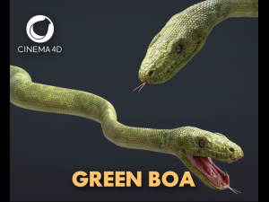 3d green boa model 3D Model