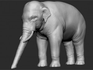 asian elephant - sculpt 3D मॉडल