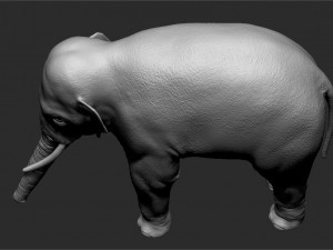 asian elephant - sculpt 3D मॉडल