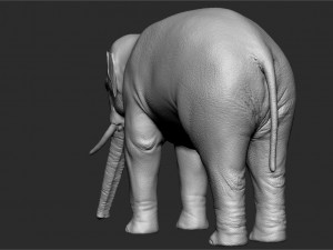 asian elephant - sculpt 3D मॉडल