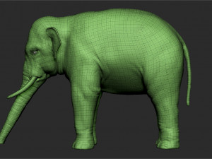 asian elephant - sculpt 3D मॉडल
