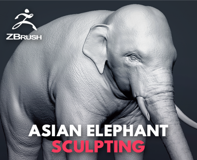 asian elephant - sculpt 3D मॉडल .c4d .max .obj .3ds .fbx .stl .blend 