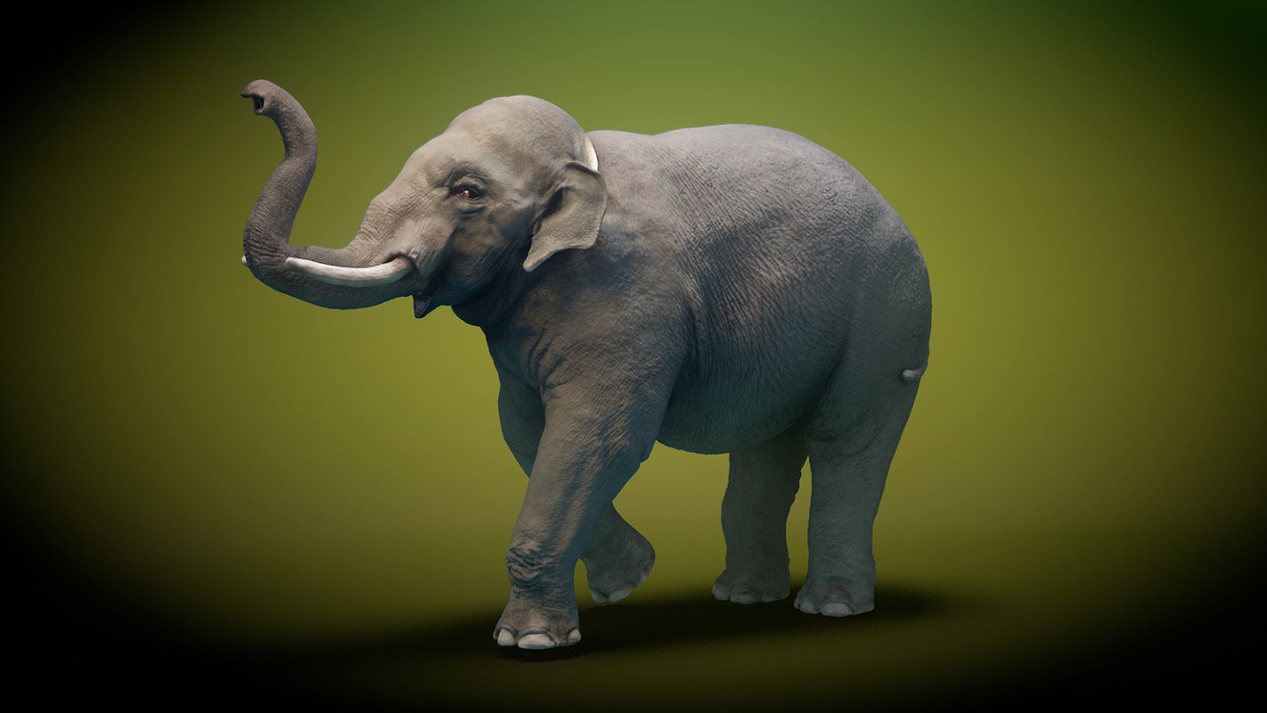 Модель слона