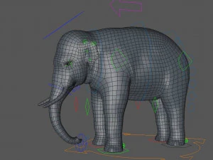 asian elephant 3D Model