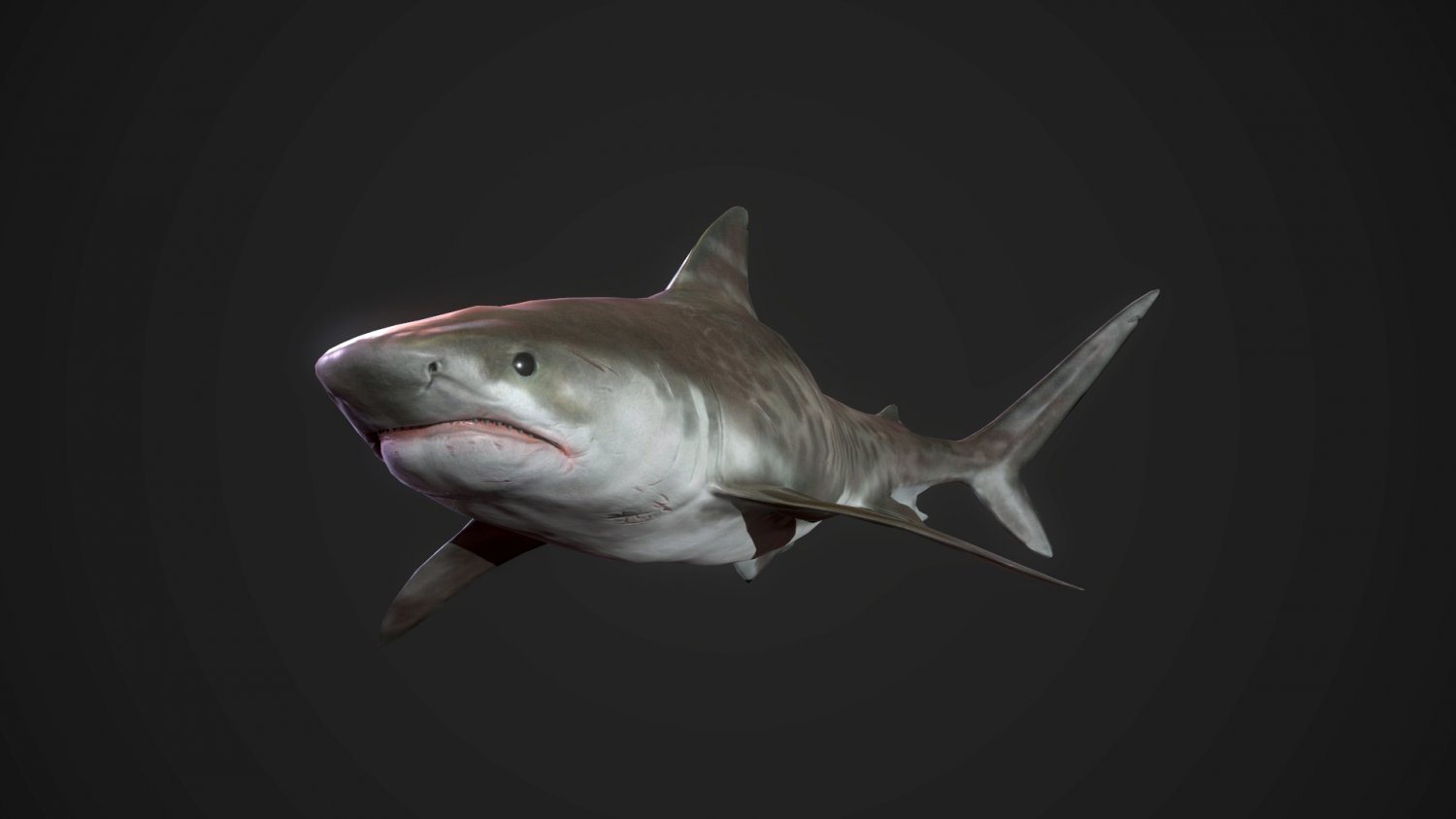 Gta 5 tiger shark фото 90