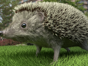 3d hedgehog model Modelo 3D