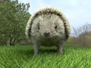 3d hedgehog model 3D Model
