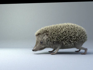 3d hedgehog model 3D Model