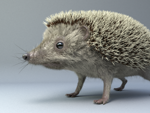 3d hedgehog model Modelo 3D