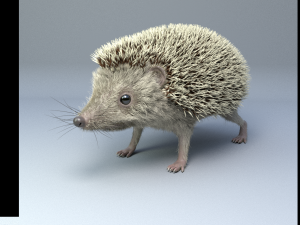3d hedgehog model Modelo 3D