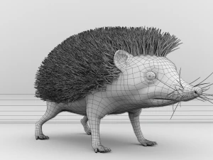3d hedgehog model 3D Model