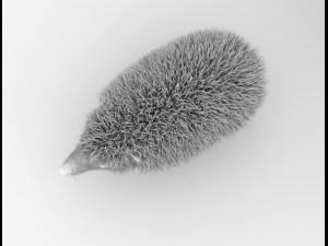 3d hedgehog model Modelo 3D