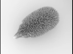 3d hedgehog model 3D Model