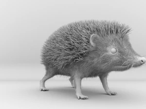 3d hedgehog model 3D Model
