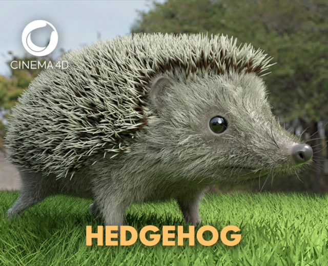 3d hedgehog model 3D Model .c4d .max .obj .3ds .fbx .stl .blend 