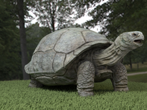 galapagos tortoise Modelo 3D