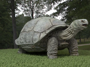 galapagos tortoise 3D Model