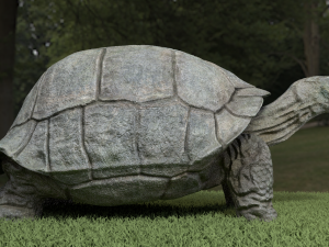 galapagos tortoise Modelo 3D