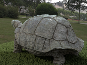 galapagos tortoise Modelo 3D