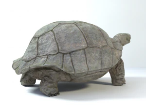 galapagos tortoise 3D Model