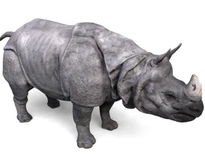 indian rhinoceros 3D Model