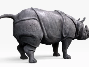 indian rhinoceros 3D Model