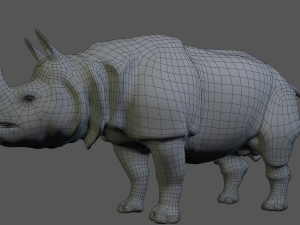 indian rhinoceros Modèle 3D