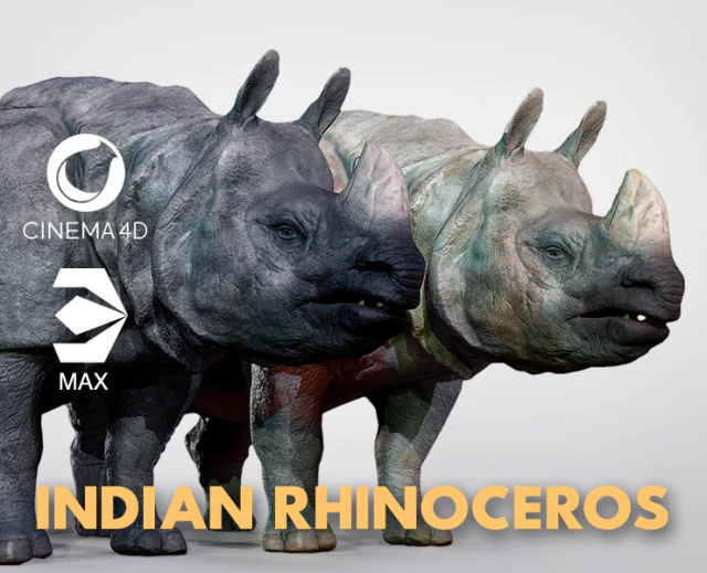 indian rhinoceros 3D Model .c4d .max .obj .3ds .fbx .stl .blend 