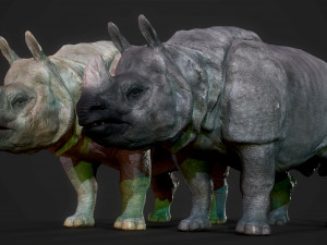 indian rhinoceros Modèle 3D