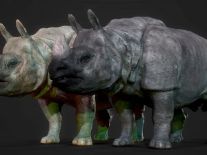 indian rhinoceros 3D Model