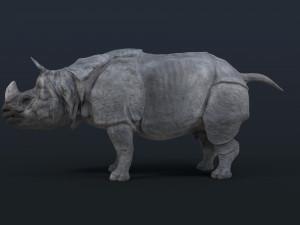 indian rhinoceros Modèle 3D