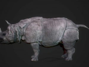 indian rhinoceros 3D Model