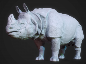 indian rhinoceros Modèle 3D
