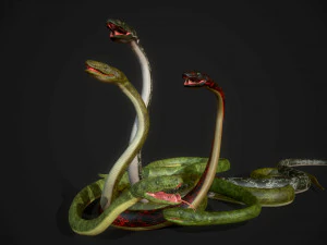 snakes boa - game ready 3D Model