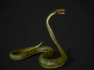 snakes boa - game ready 3D Model