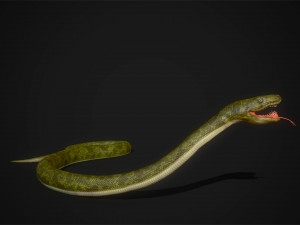 snakes boa - game ready Modelo 3D
