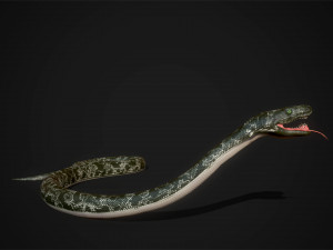 snakes boa - game ready Modelo 3D