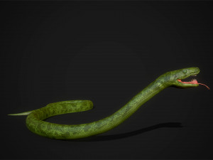 snakes boa - game ready Modelo 3D