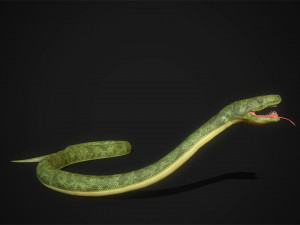 snakes boa - game ready Modelo 3D
