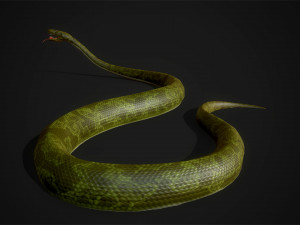 snakes boa - game ready Modelo 3D