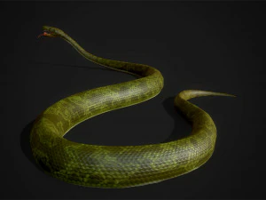 snakes boa - game ready 3D Model