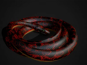 snakes boa - game ready 3D Model