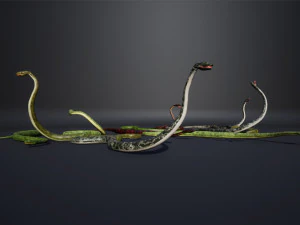snakes boa - game ready 3D Model