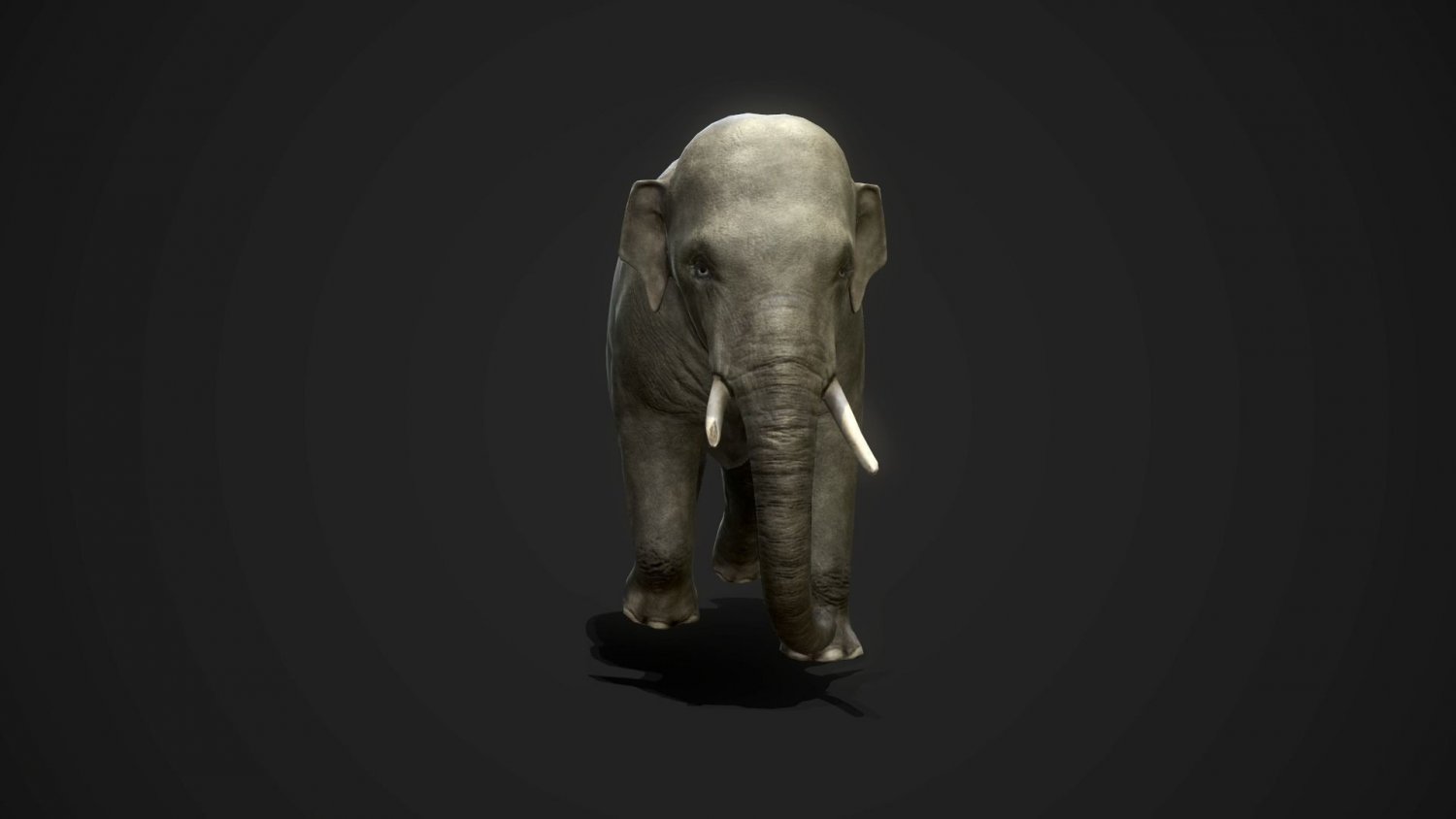 Elephant games