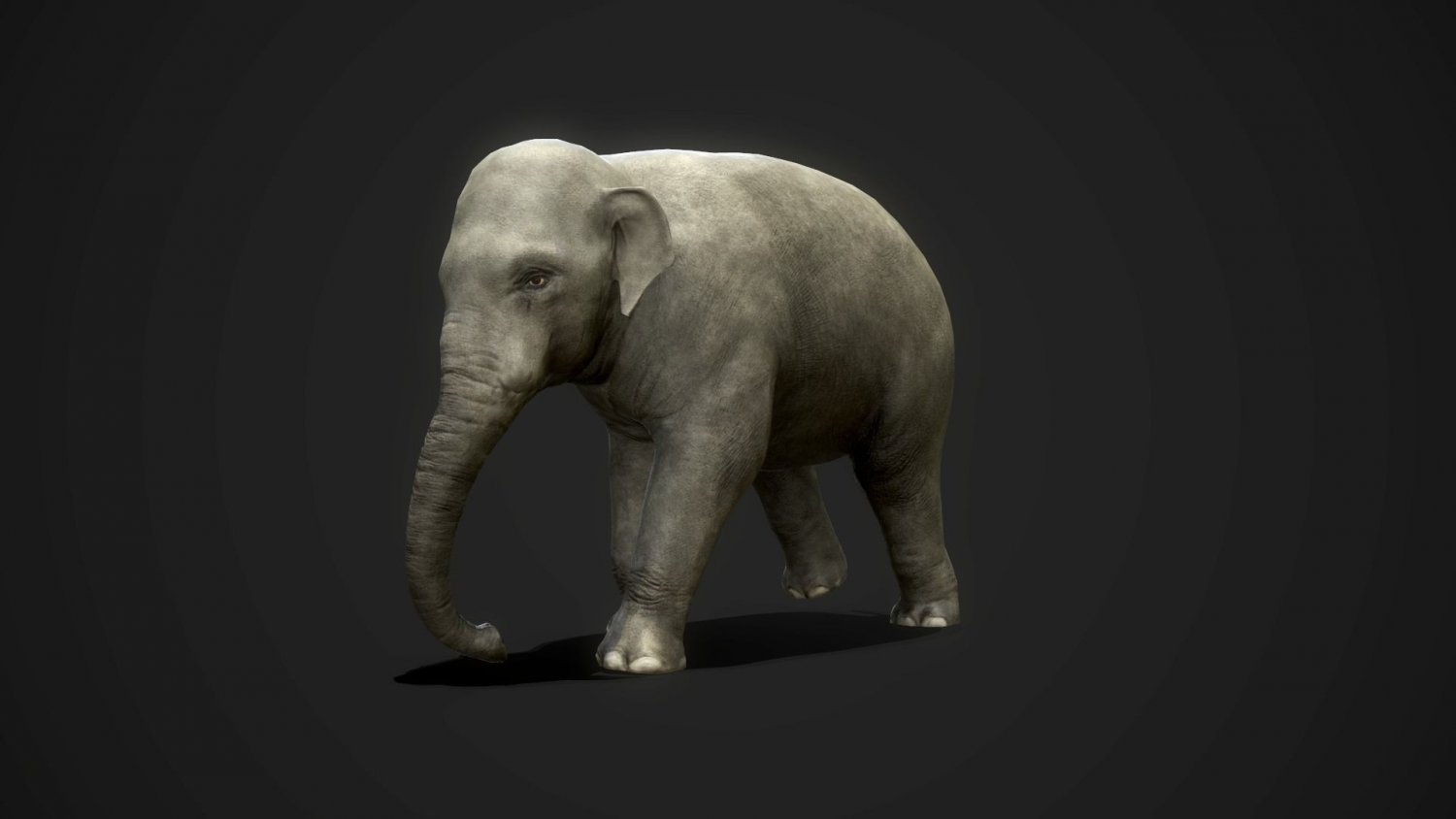 Elephant games. Слон 3д модель. милая моделька слона. elephant games игры.