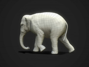 asian elephants - game ready Model 3D