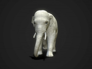 asian elephants - game ready Model 3D