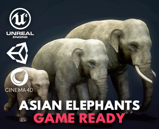 asian elephants - game ready Model 3D .c4d .max .obj .3ds .fbx .stl .blend 